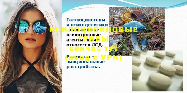 Альфа ПВП Медвежьегорск