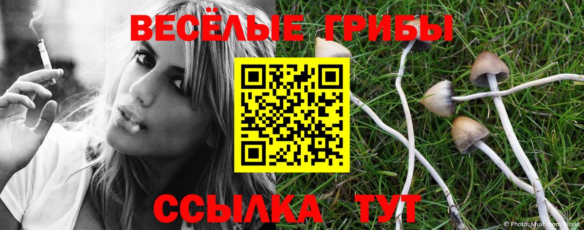 продажа наркотиков  Вход с VPN  Рыбинск  Псилоцибиновые грибы Psilocybine cubensis 