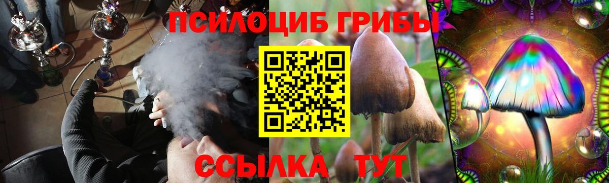 Псилоцибиновые грибы ЛСД Рыбинск